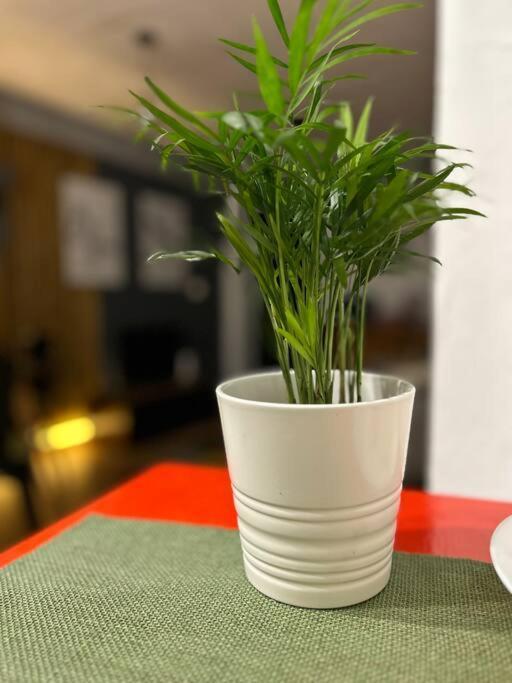 Loft Centro Santander公寓 外观 照片